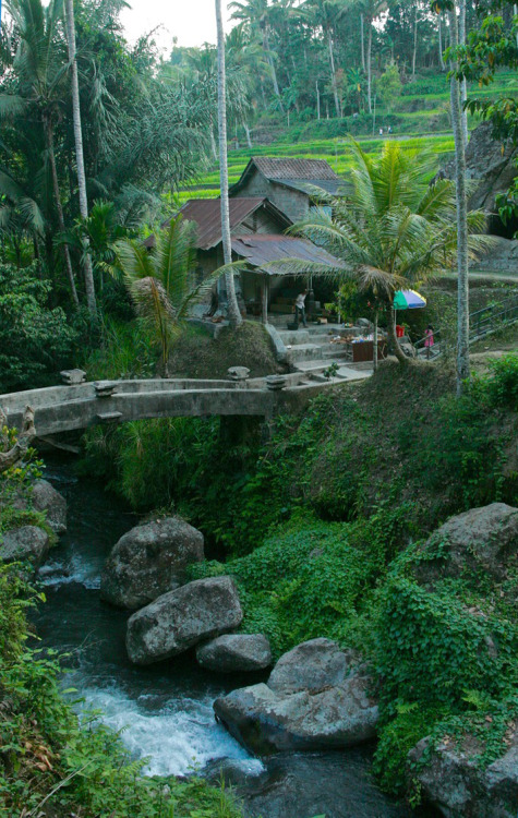 quickwitter:  The Path to GUNUNG KWAIBali, Indonesia At the bottom of a lush green river valley is o