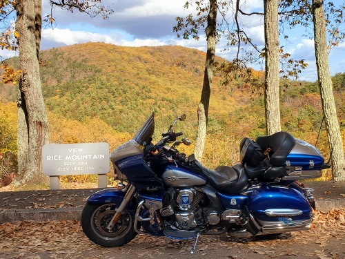 two-wheeled-therapy