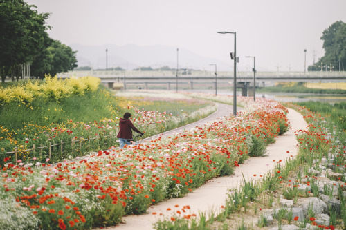 boohwanj:2020-05-30Canon EOS R + RF85mm f1.2Lhttps://www.instagram.com/hwantastic79vivid/