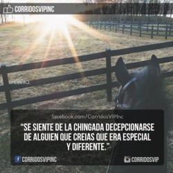 corridosvip:  Nadie, nunca, termina de conocer a las personas.! Todo puede pasar.! ____________________ #teamcorridosvip #corridosvip #corridosybanda #corridos #quotes #regionalmexicano #frasesvip #promotion #promo