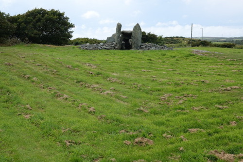 Trefignath Burial Chamber, Anglesey, 31.7.17. This site is one of the most impressive on Anglesey 