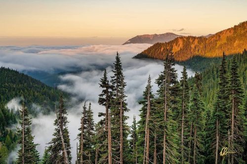 visitportangeles:  Moody mountaintop moments with @irwin.nick 🙌  #OlympicNationalPark #VisitPortAngeles #HurricaneRidge https://instagr.am/p/CSrqjAVF8Oz/