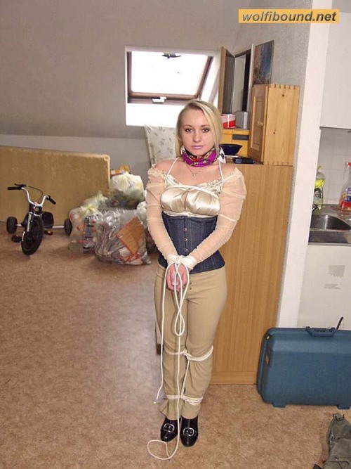 graybandanna:  Strung up with scarf gags 