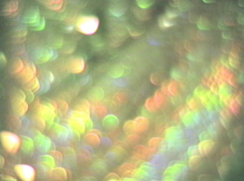 analogcinema:   Erica Schreiner - untitled video still, outtake from Metamorphosis ©2012