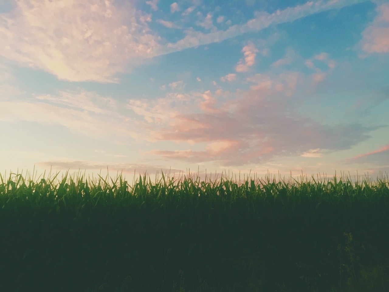 I yearn for a place far from here.