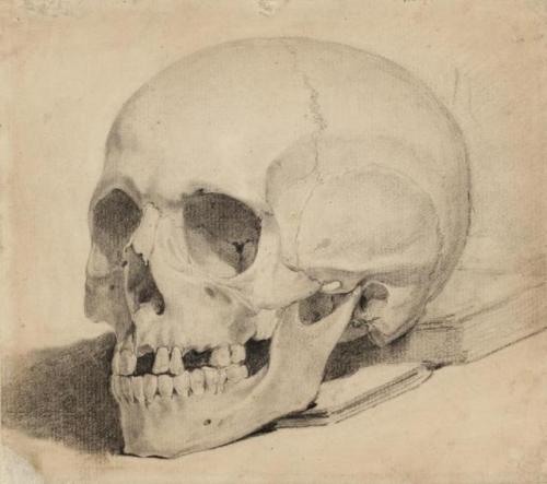 Study of a Human Skull (c.1750 / Chalk on paper) - Unknown - British