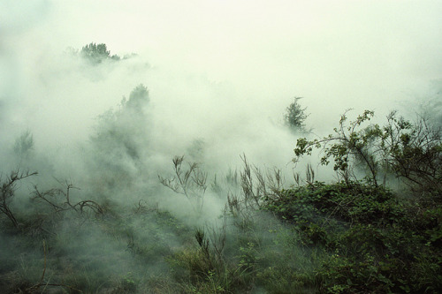 chickiephi:  untitled by krystian kujda on Flickr. 
