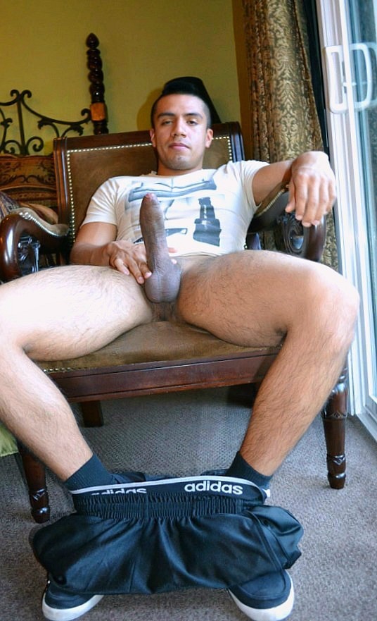 VERGAS DE S L P