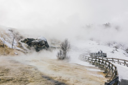 arthurchang:  Steamy Winter Scenes Mammoth