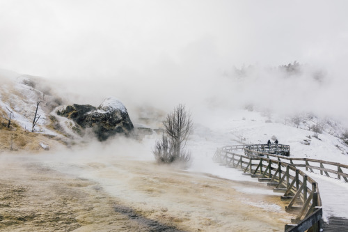 arthurchang:  Steamy Winter Scenes Mammoth Springs, Yellowstone National Park // Sony RX1r Yellowstone is pretty locked down from normal car travel during the winter time. Nevertheless, there is still endless amounts of things to see and experience. I