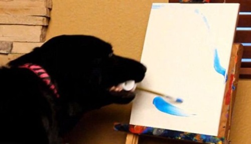 x0livelaughlove0x: This dog is more artistically talented than I am…