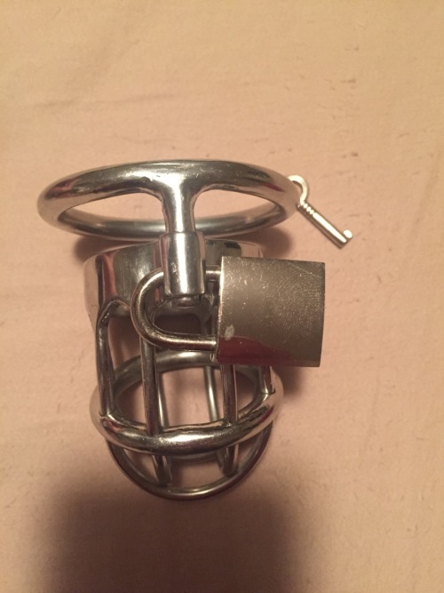 chastityknight:  Mature metal queens keep for sale. Cage was resized to 2 inch. Everything is sterilized in boiling water. Hasn’t been used in years. Asking 175 for it. Pm me if interested. 
