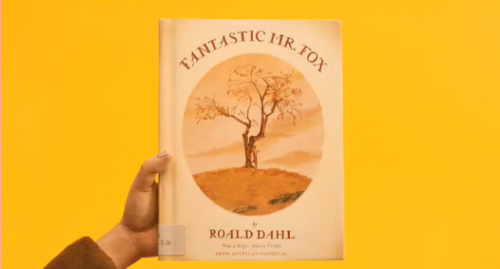 stuffies-and-cuddles:  horndave:  Books in Wes Anderson movies   Yesssssss
