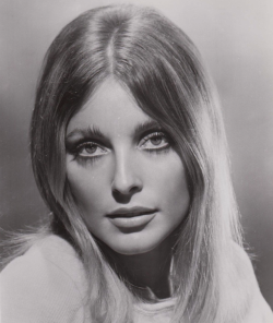 romanbymarta:Sharon Tate