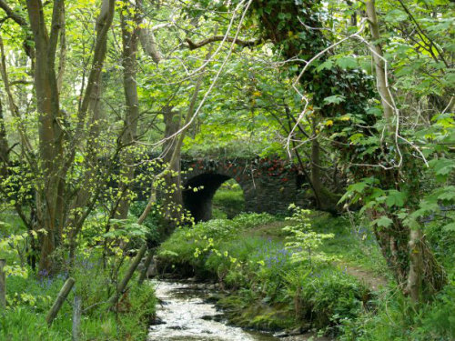 pagewoman: Fairy Bridge, Isle of Man via lovely greens 