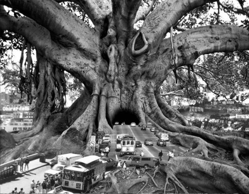 asylum-art: Surreal Photo Manipulations by Thomas Barbéy Photo manipulations have been a mainstay of photography, even before the advent of Photoshop, but with the ubiquitous use of program by everyone and their brother, the world has become flooded