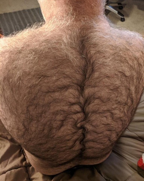 hairybacker: Hairy Back 71
