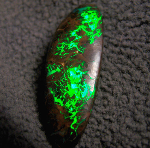 nerdsandgamersftw:normanbecile:starseed-infinite:lizardtakesflight:Australian Opals from Planet Opal