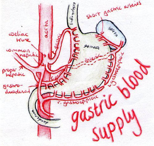 gastroenterology