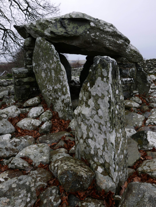 Dyffryn Ardudwy Neolithic Burial Chambers, near Barmouth, North Wales, 20.1.18.Two Neolithic chamber