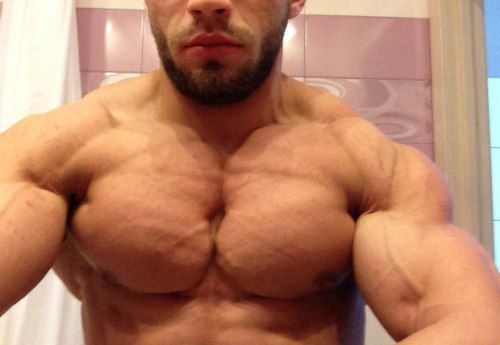 MANLY DOMINATE ALPHA'S ONLY