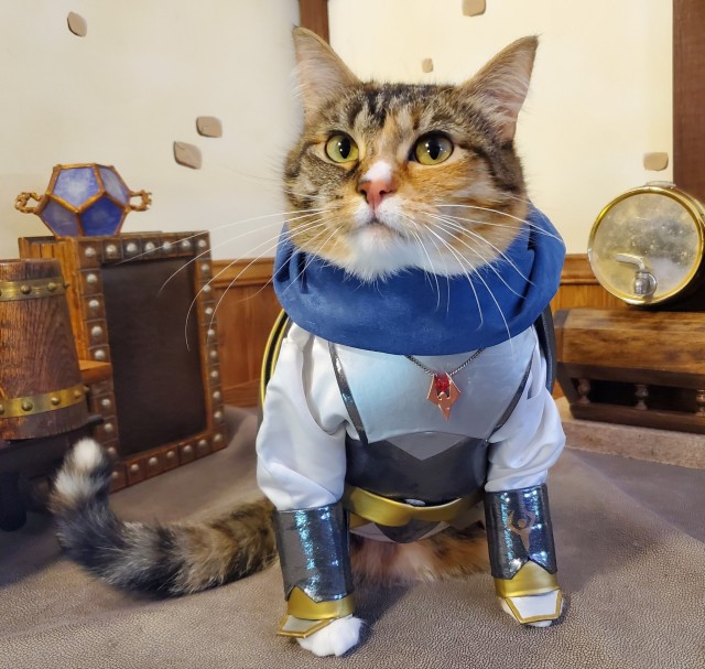 Cat Cosplay of the Feline variety. 2023