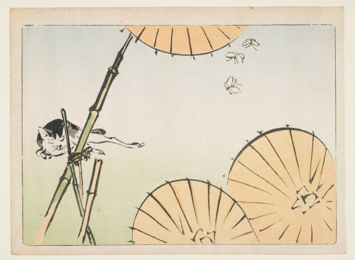 mia-japanese-korean: (Bamboo, umbrellas, a cat and butterflies), Shibata Zeshin, c. 1877, Minneapoli