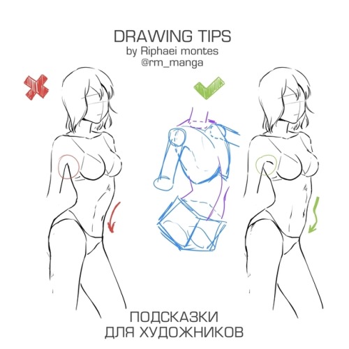 drawingden:Quick Anatomy Tips by rm_manga