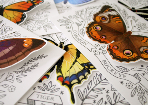 theemilydahl:My butterfly greeting cards are FINALLY done and in my Etsy shop! These guys were so fu