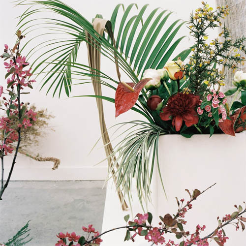 crematorie:  Camille Henrot  - Est-il possible d’être révolutionnaire et d’aimer les fleurs, 2012.