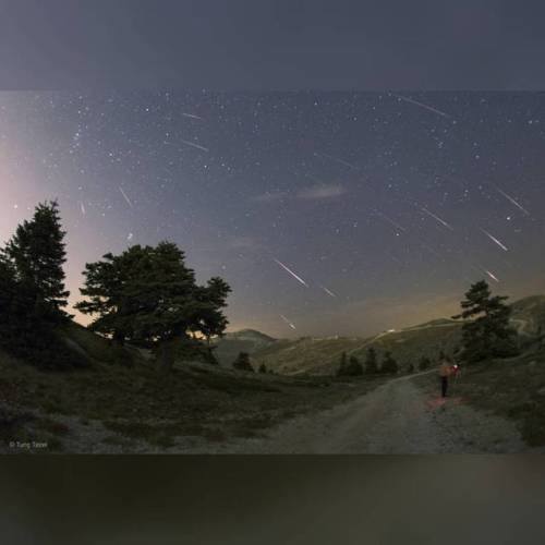 Perseid Meteors over Turkey #nasa #apod #twan #perseidmeteorshower #perseids #meteorshower #meteor #meteors #atmosphere #comet #swifttuttle #solarsystem #constellation #perseus #earth #turkey #space #science #astronomy