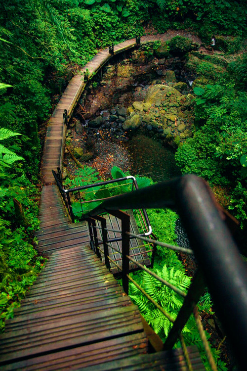 plasmatics-life:Long Stairs | (by Hanson Mao)