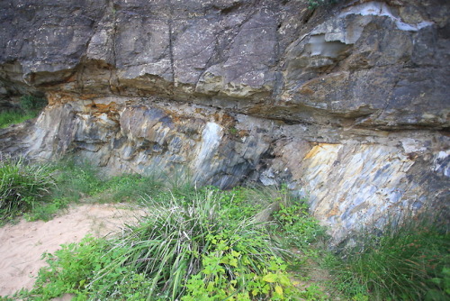 geologicaltravels:2015: The Myrtle Beach angular unconformity