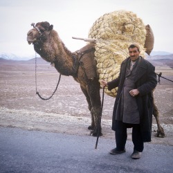 deanbullock:  Iran, 1962 