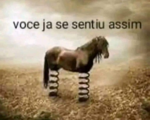 cigrttiie - ary