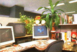 maryokuyummy:  The offices of employees at Squaresoft, from Gamest March 15th,1996 issue. 