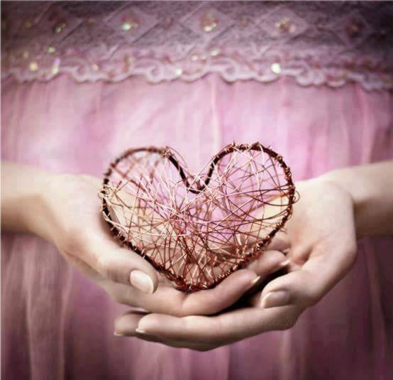 flower48512:  🌸🌸fragile heart