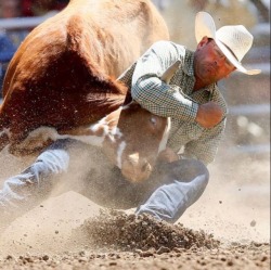 roughcutcowboy:Calgary Stampede 17. 