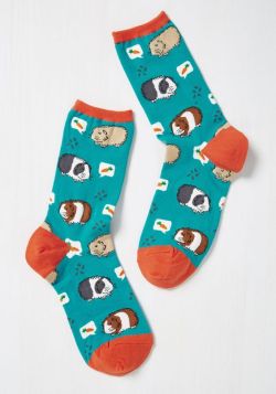 littlealienproducts:Guinea Pig Socks from ModCloth  Sweet booties lol