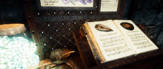 sublimepoint:  ↳ The Elder Scrolls V: Skyrim  scenery [2/∞] 