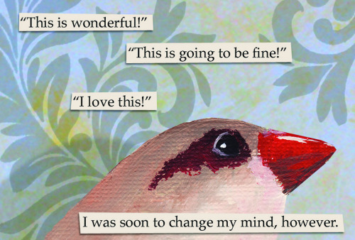 Hozier Songs As Troubled Bird Memes