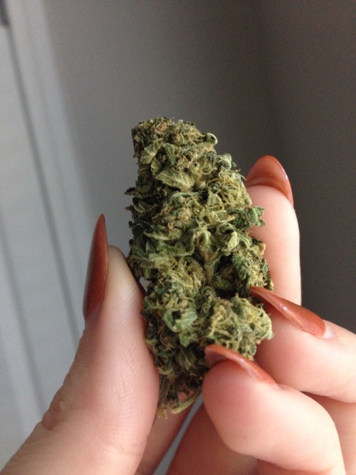 the-softer-sins:pretty new pickup 😭