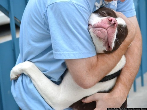 yourlittleampersand:  This is one of my all-time favorite photos on the internet. 