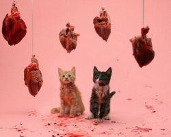 daddy-cum:  blood, hearts, and kitties, now