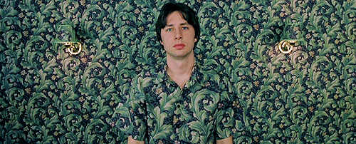 theplace-beyond-thepines:  I like making gifs loop better.  Garden State is an amazing