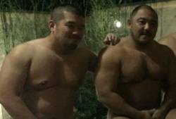 Sexy Asian Bears