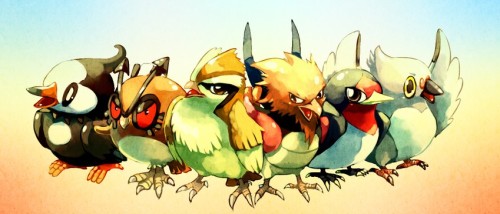 Sa-dui Title: Pokemon : Common birds Commentary: All of common bird Pokemon from every games~~ .. or