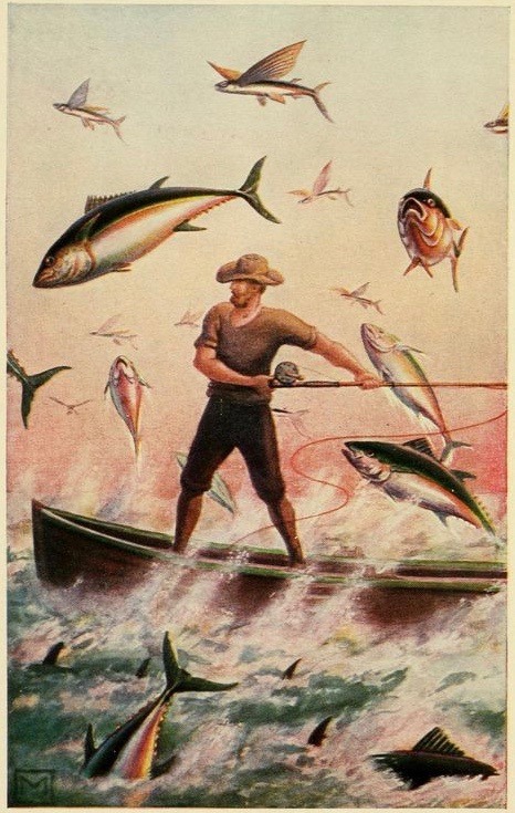nemfrog:  “Dodging flying fishes.” Fish stories alleged and experienced. 1909. Frontispiece, cropped