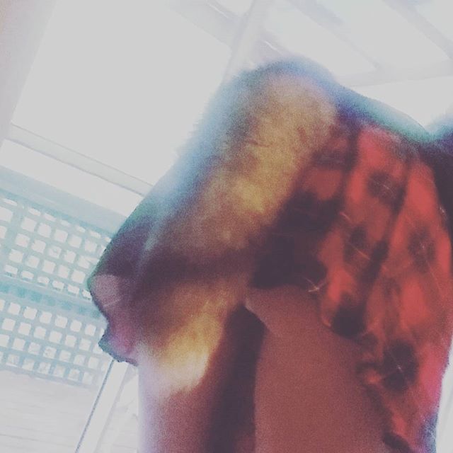 thespankacademy:  Loving my tail. ^-^ @thespankacademy #thespankacademy #kittenplay