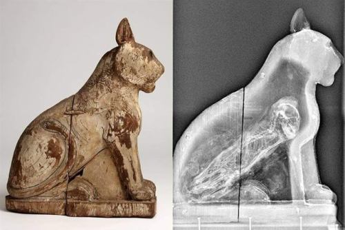 Cat coffin with complete mummy inside. Saqqara, Egypt